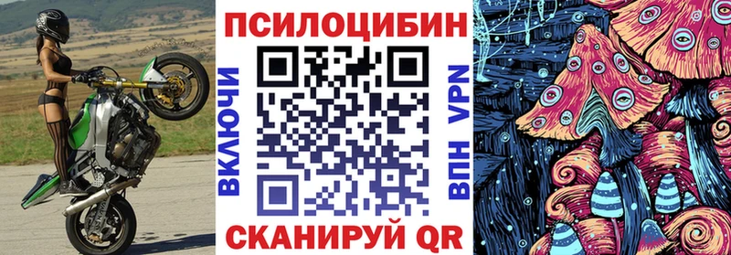 Галлюциногенные грибы мицелий  купить  сайты  Иннополис 