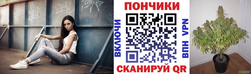 закладка  blacksprut сайт  Канабис VHQ  Иннополис 